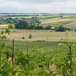 Weingut Martinshof Affittacamere