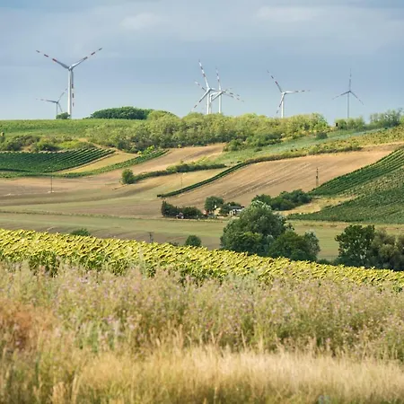 Weingut Martinshof Sankt Ulrich (Ganserndorf)