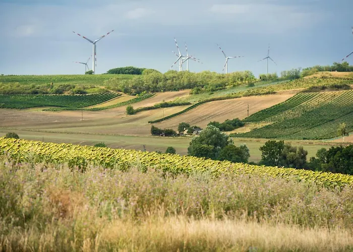 Weingut Martinshof Sankt Ulrich (Ganserndorf)