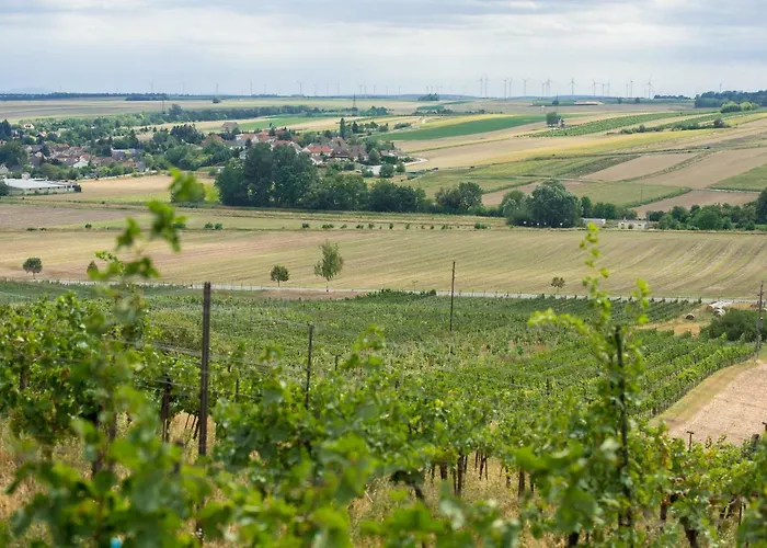 Weingut Martinshof Penzion